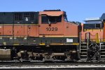 BNSF 1029 - Roster